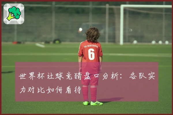 世界杯让球竞猜盘口分析：各队实力对比如何看待