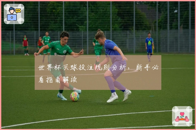 世界杯买球投注规则分析，新手必看指南解读
