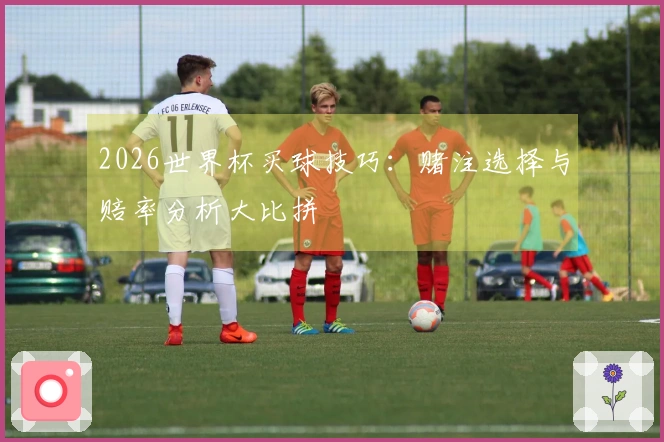 2026世界杯买球技巧：赌注选择与赔率分析大比拼