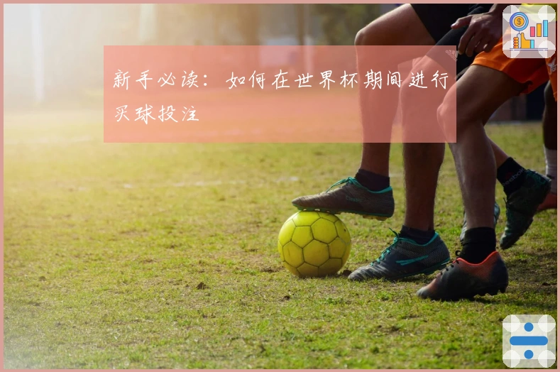 新手必读：如何在世界杯期间进行买球投注