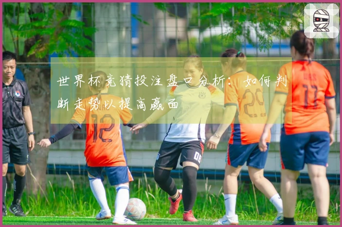 世界杯竞猜投注盘口分析：如何判断走势以提高赢面