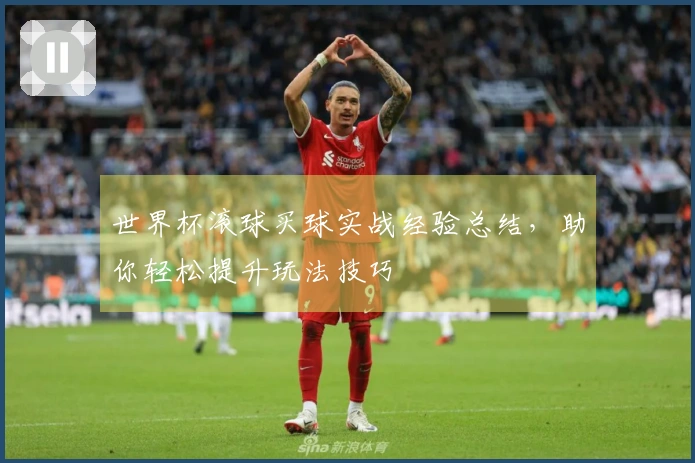 世界杯滚球买球实战经验总结，助你轻松提升玩法技巧