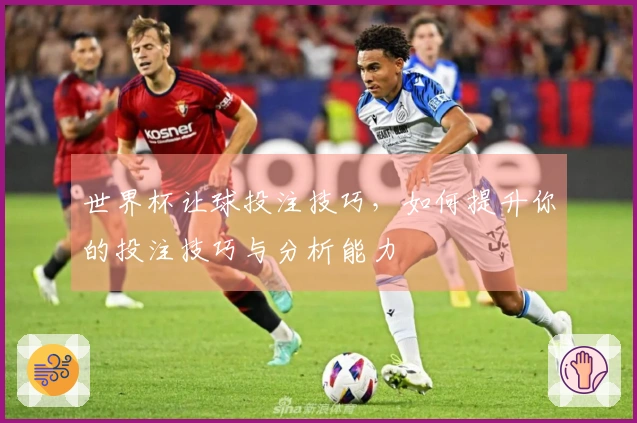 世界杯让球投注技巧，如何提升你的投注技巧与分析能力