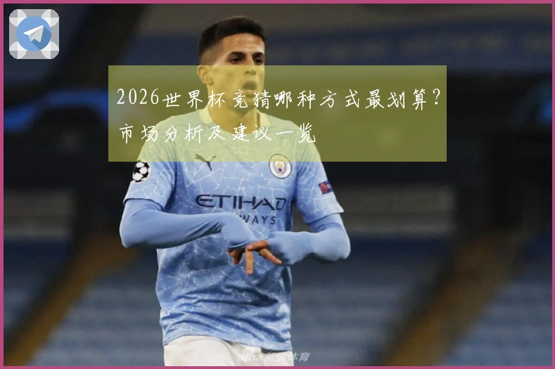 2026世界杯竞猜哪种方式最划算？市场分析及建议一览