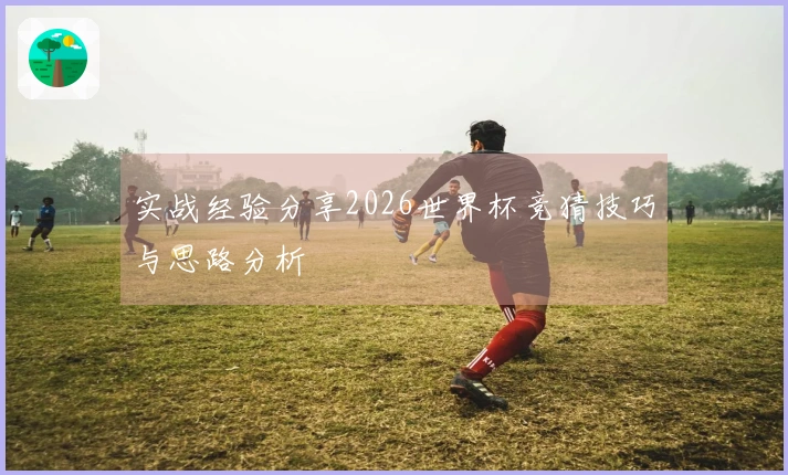实战经验分享2026世界杯竞猜技巧与思路分析
